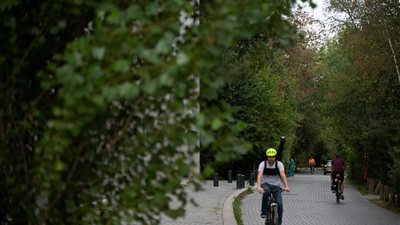 Comment nous réconcilier avec la réalité de notre planète ?