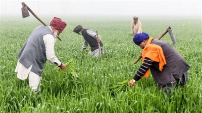 Inde : Le géant très convoité