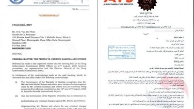 Exclusif :  Zambie :  Les ressortissants égyptiens acquittés