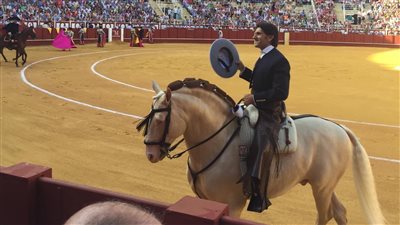 17 heures, heure du Caire